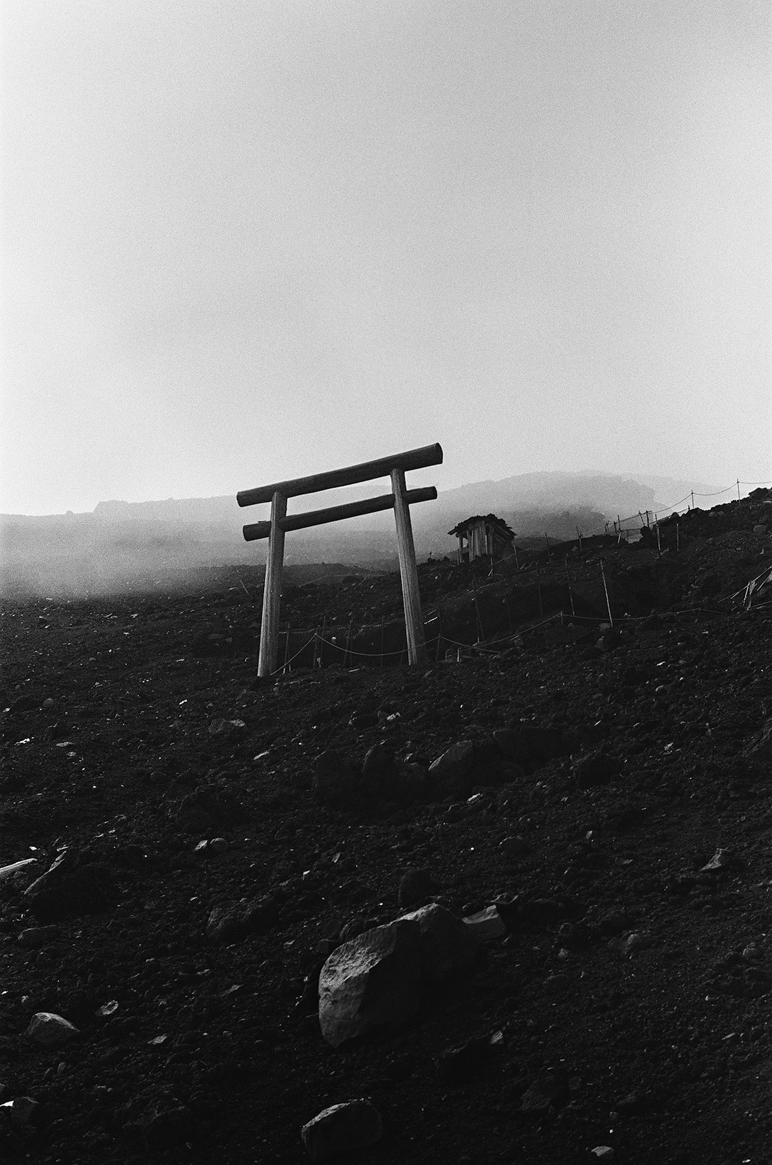Archillect ID 195452