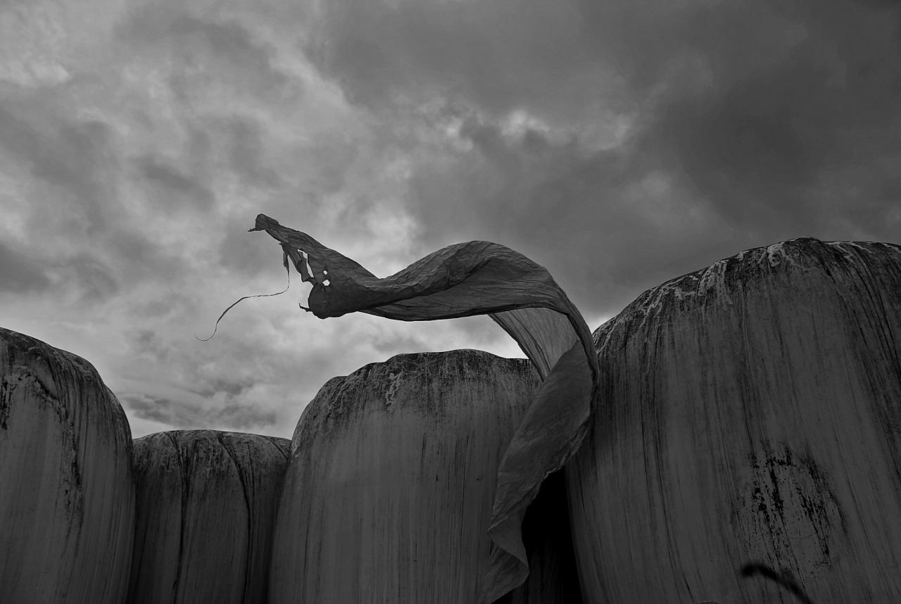 Archillect ID 195467