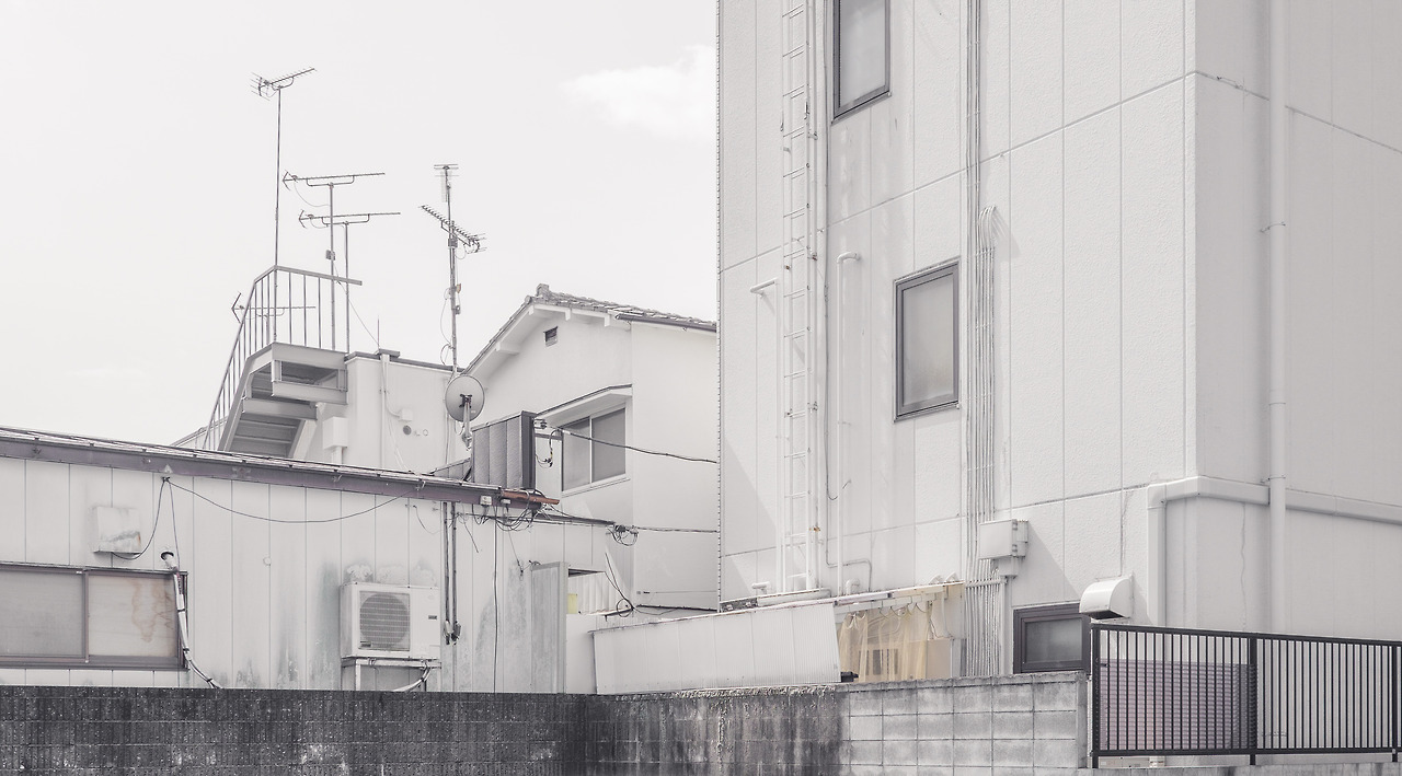 Archillect ID 195606