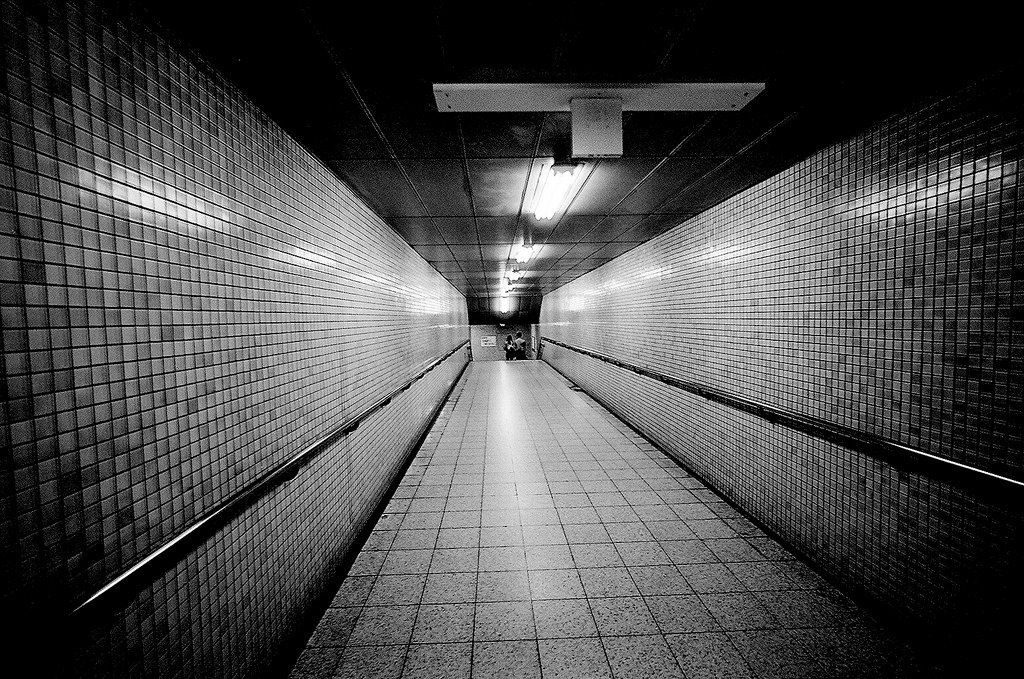 Archillect ID 195633