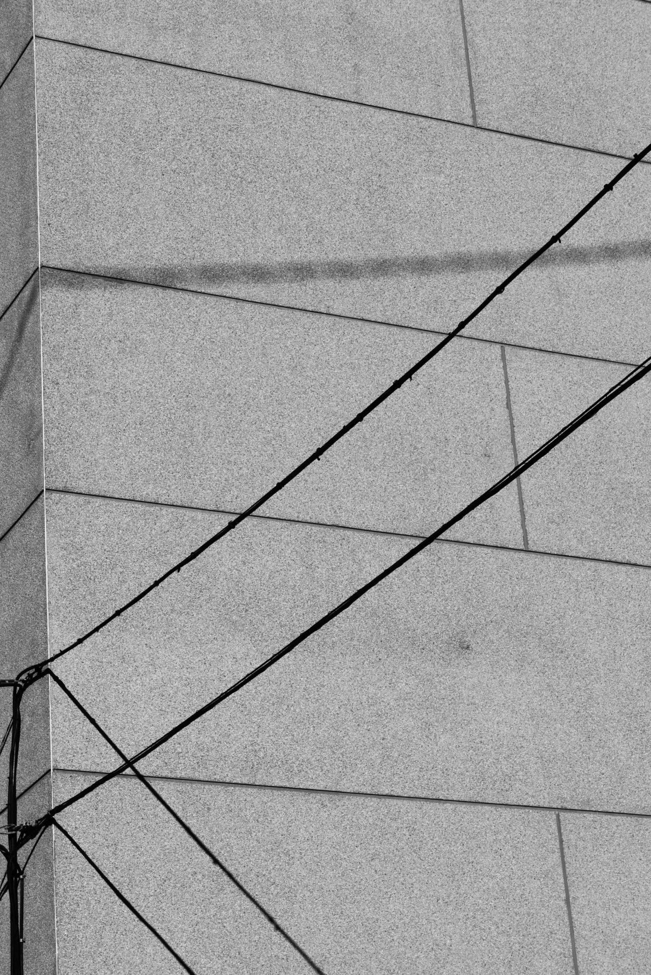 Archillect ID 195739