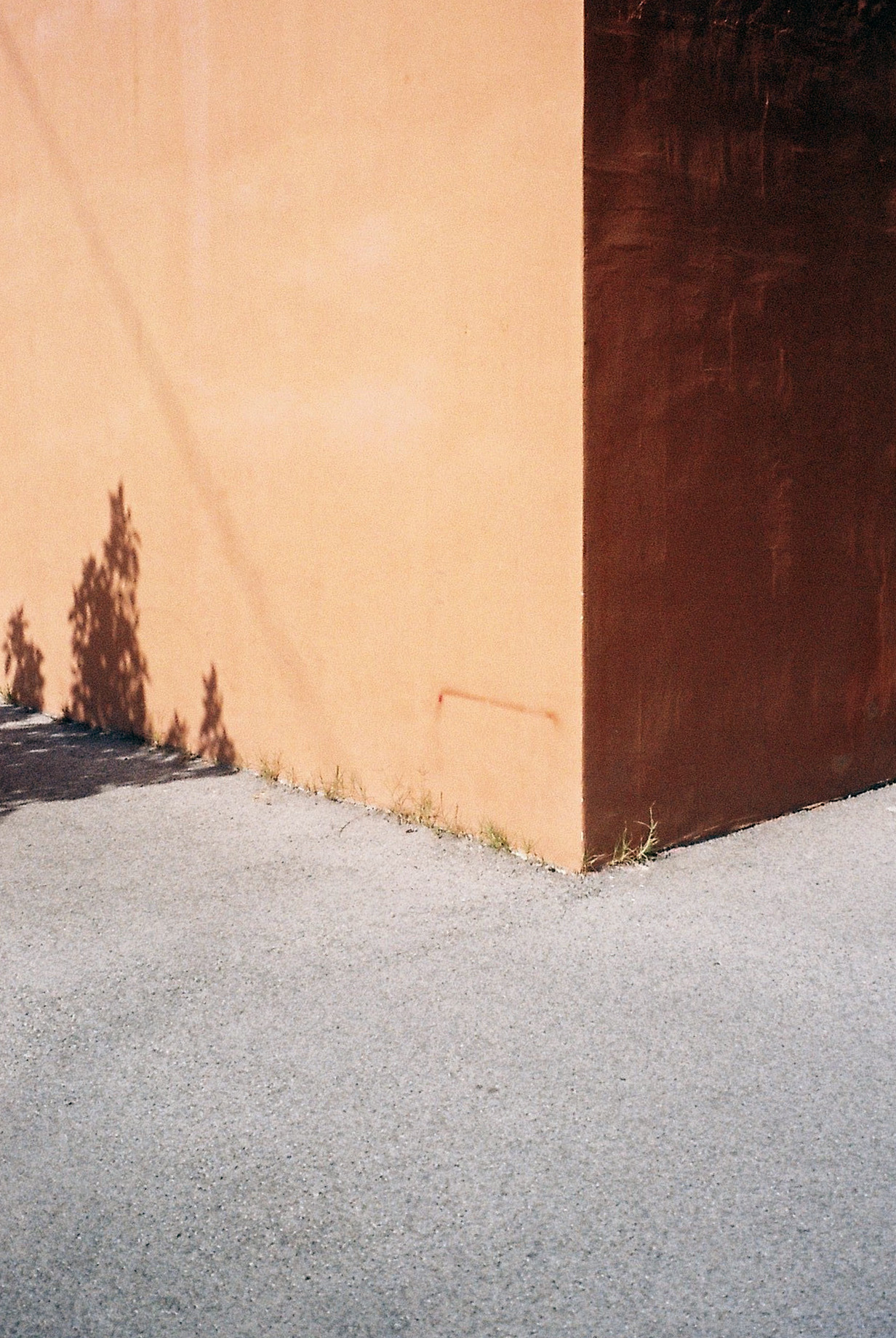 Archillect ID 195796