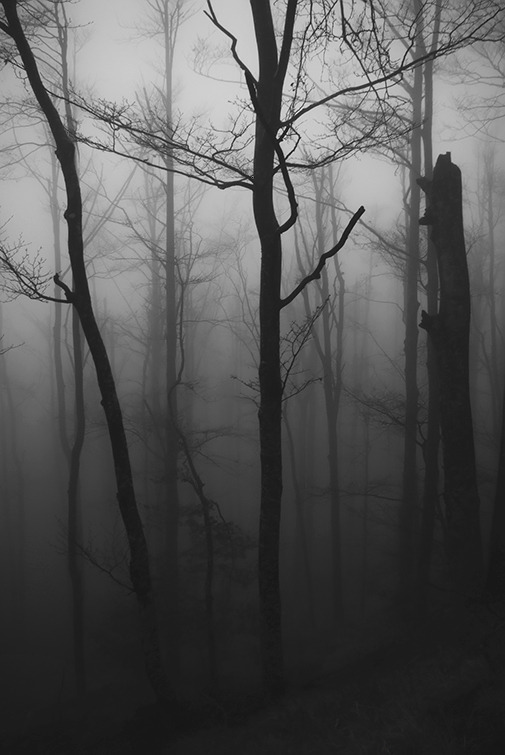 Archillect ID 195819