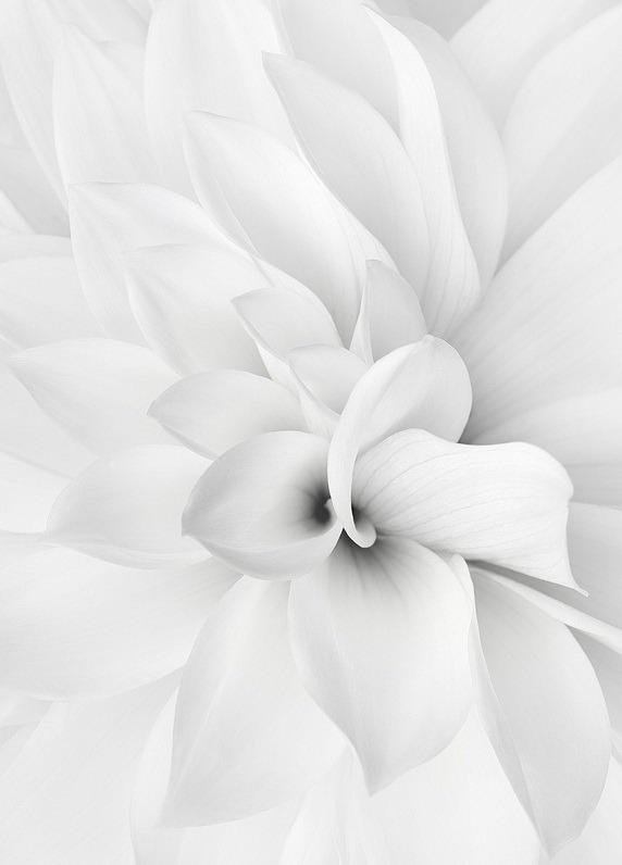 Archillect ID 195832