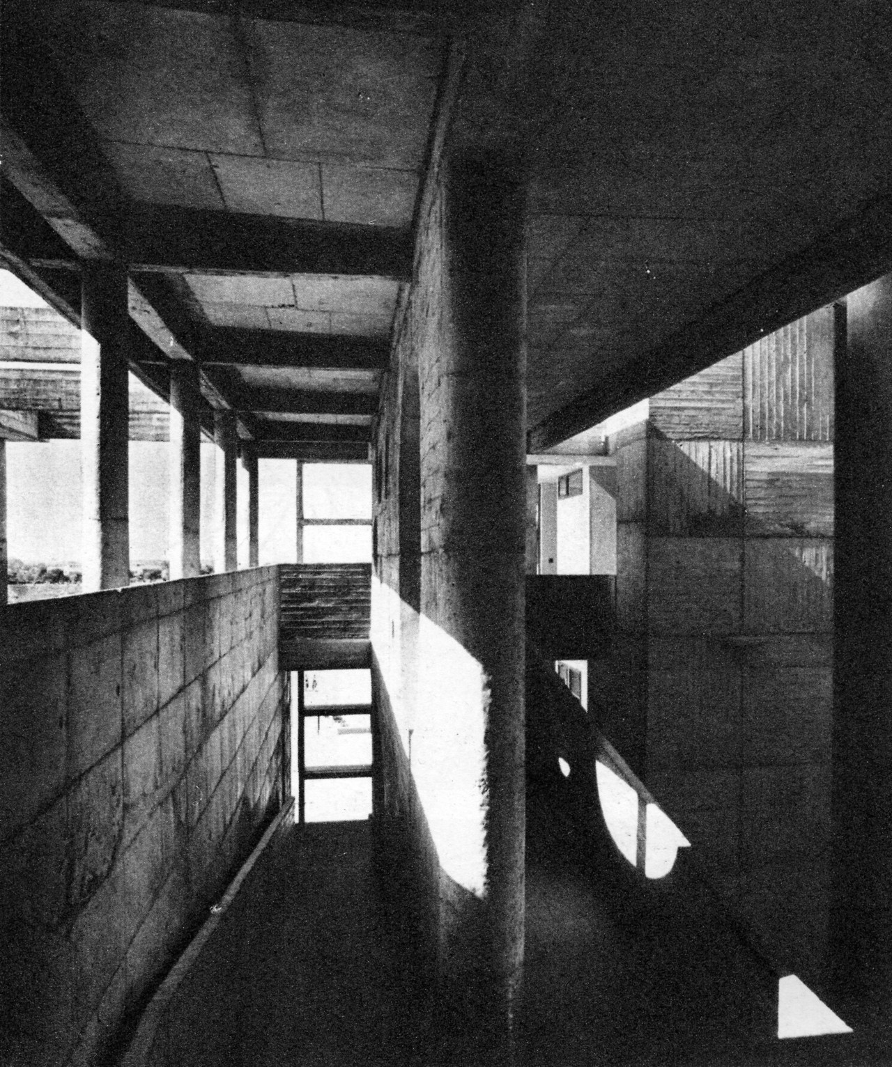 Archillect ID 195904