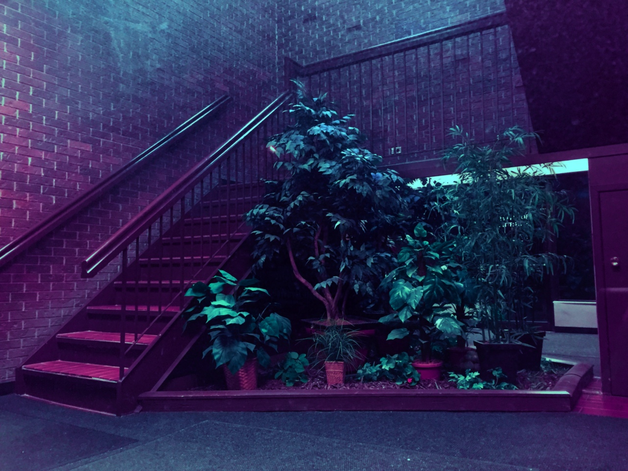 Archillect ID 196106