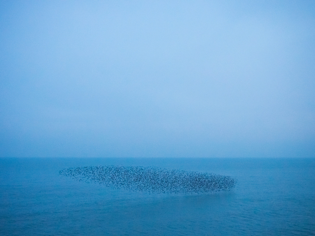 Archillect ID 196408