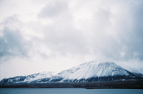 Archillect ID 196609