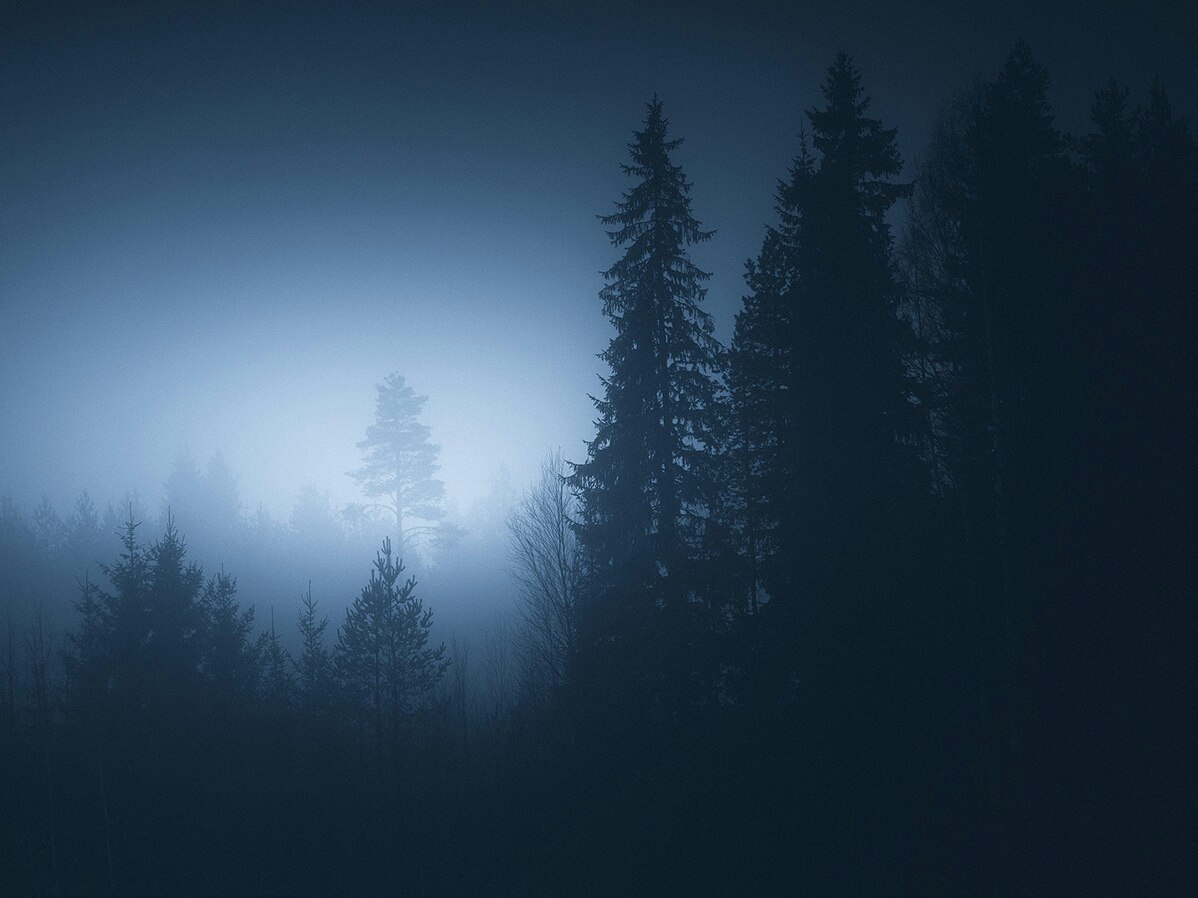 Archillect ID 196979