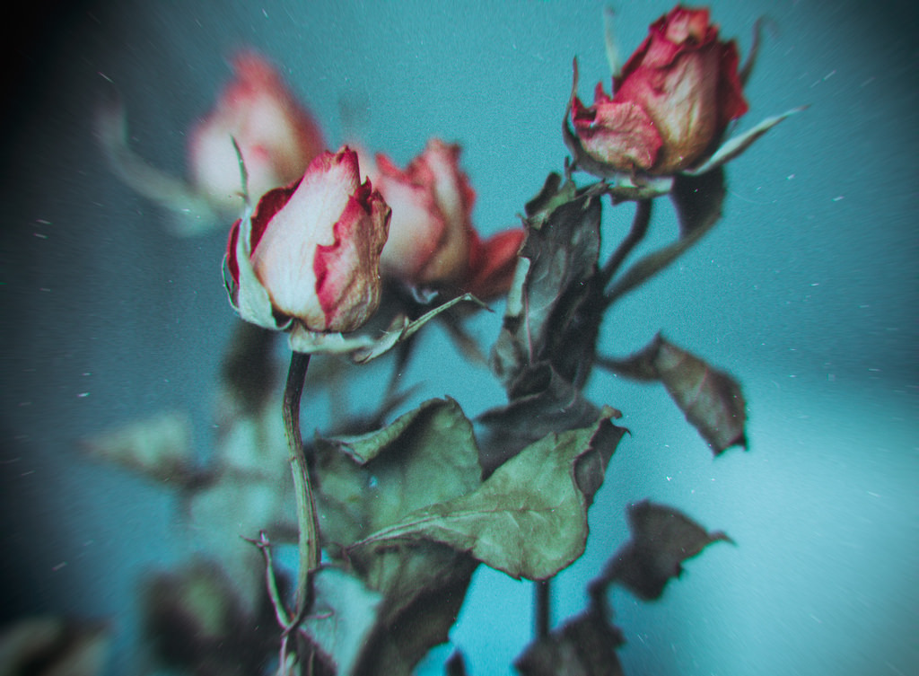 Archillect ID 197018