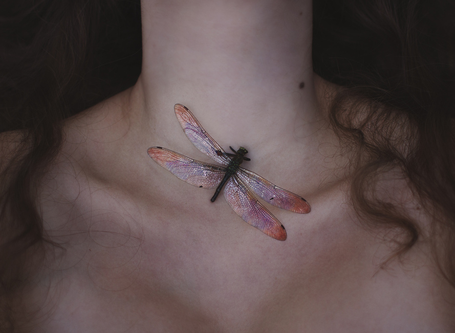 Archillect ID 197040