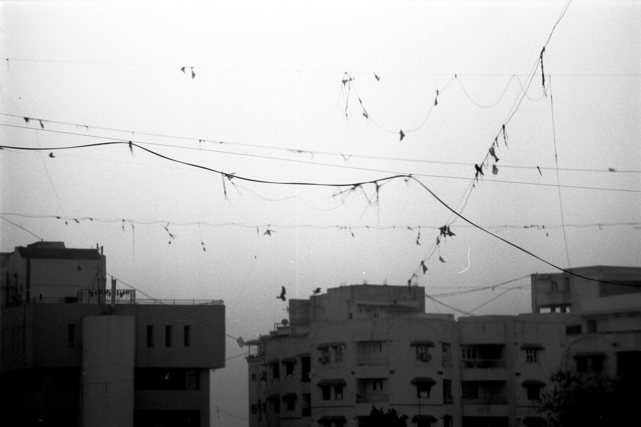 Archillect ID 197110