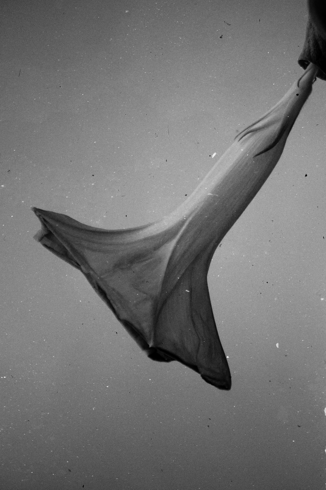 Archillect ID 197293