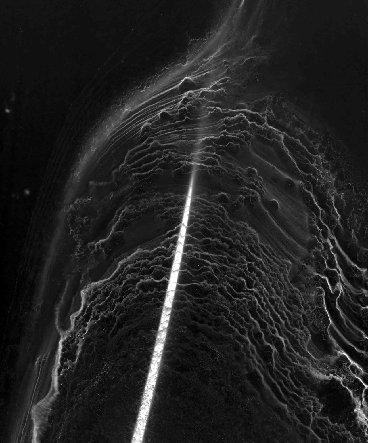 Archillect ID 197372