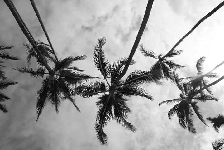 Archillect ID 197455
