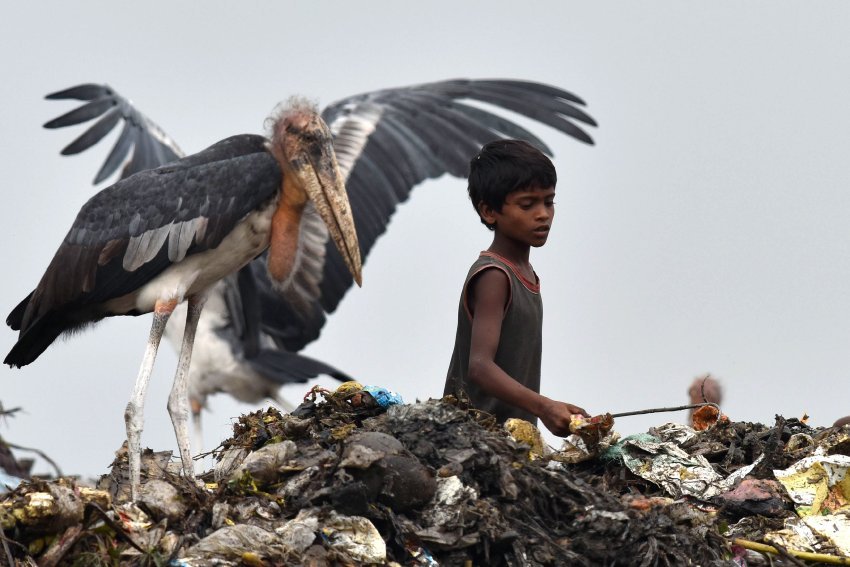 Archillect ID 197486