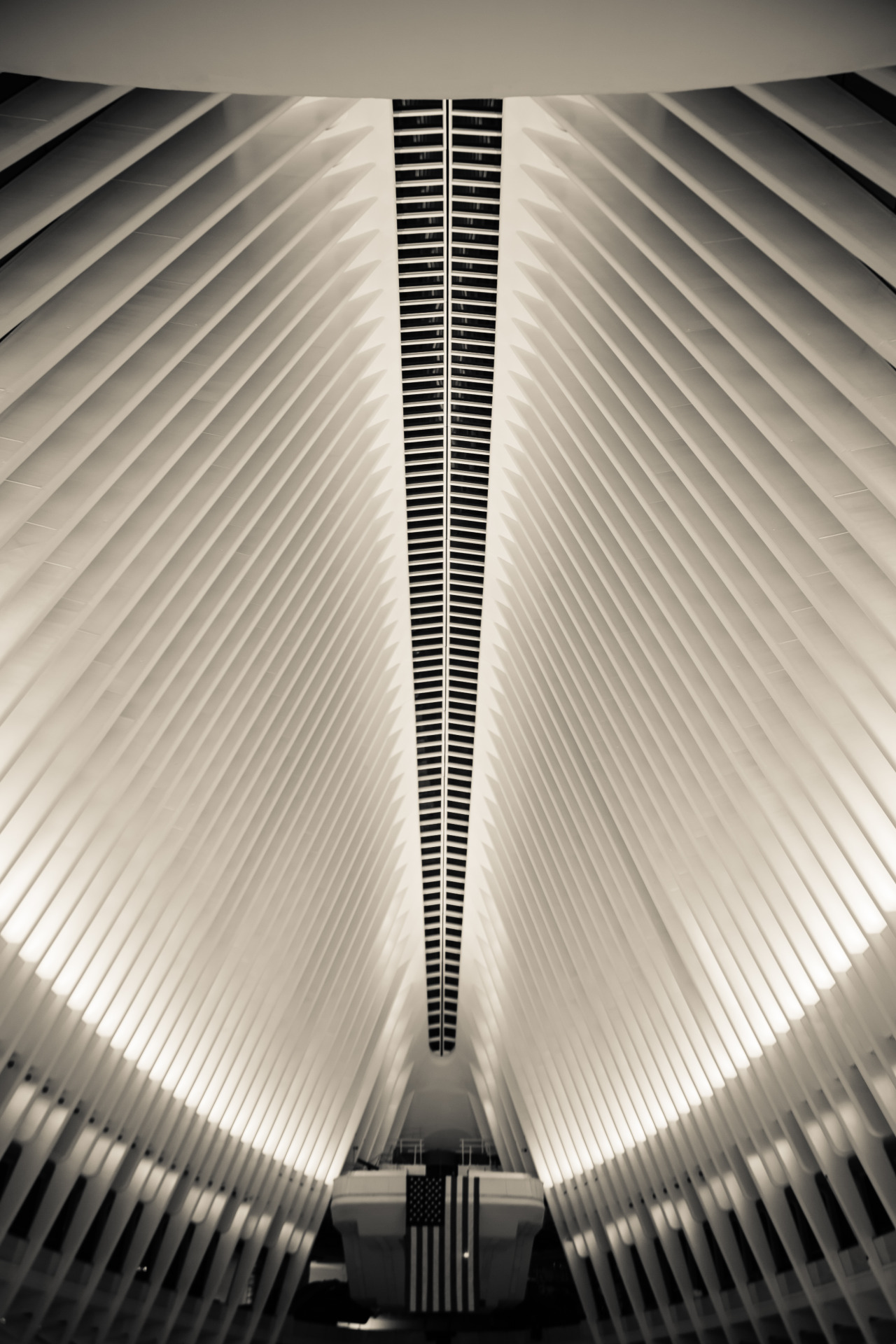 Archillect ID 197614