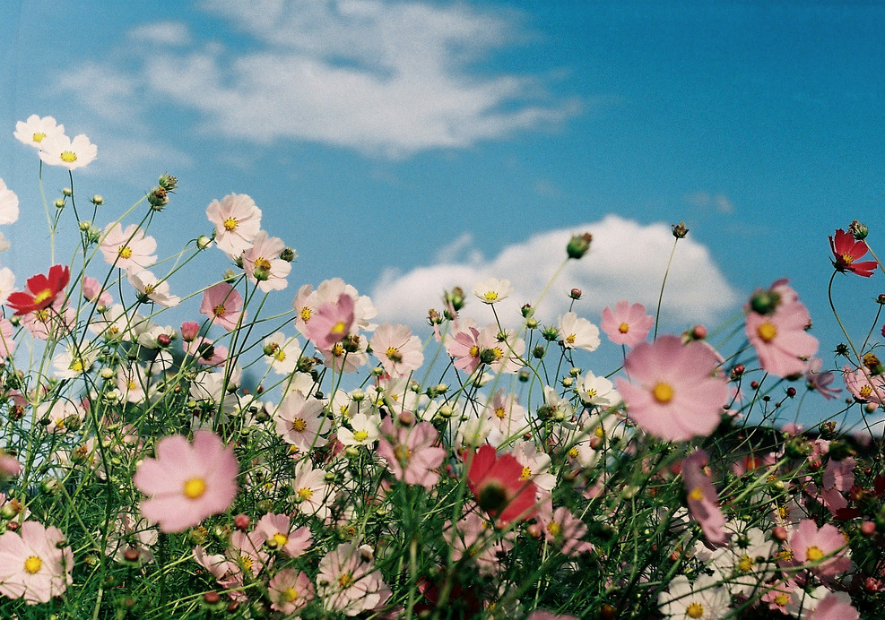 Archillect ID 197677
