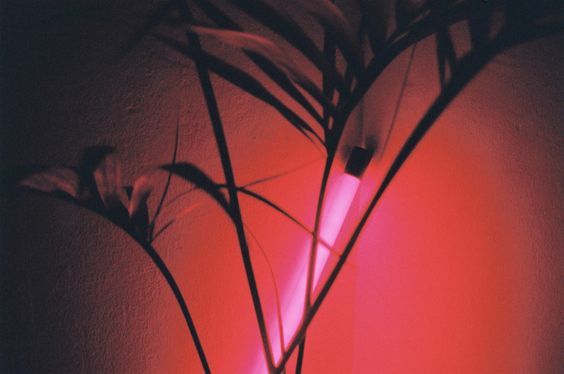 Archillect ID 197679