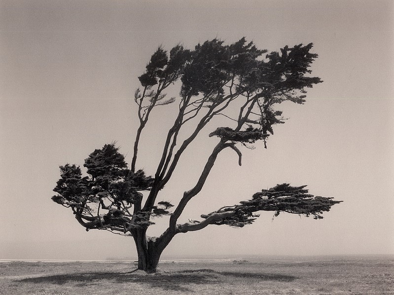 Archillect ID 197689
