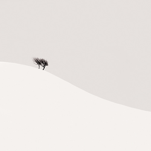 Archillect ID 197840