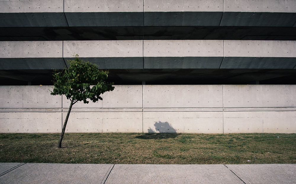 Archillect ID 197890