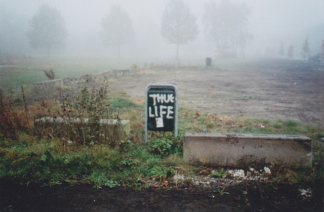 Archillect ID 198390