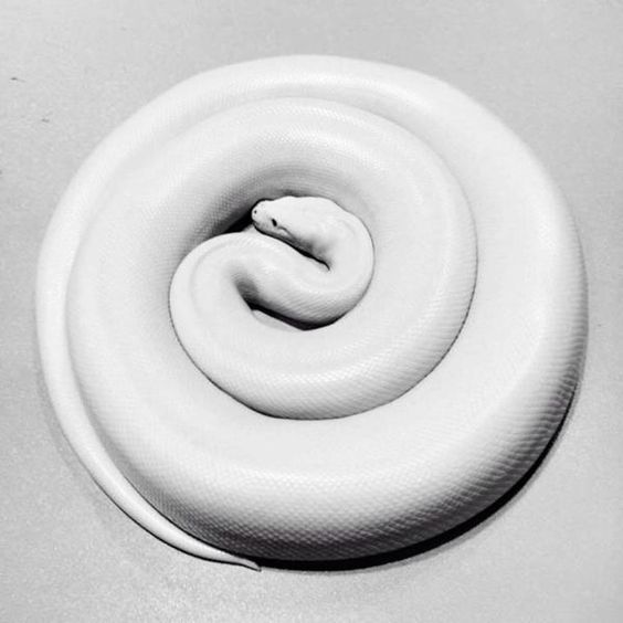 Archillect ID 198396