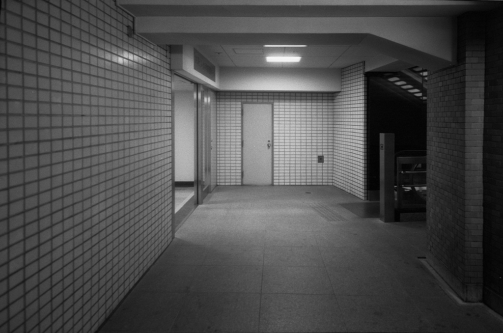 Archillect ID 198482