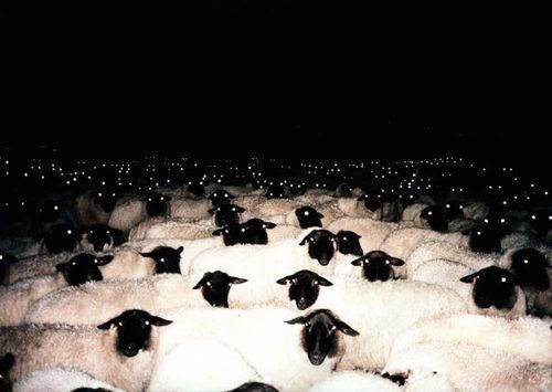 Archillect ID 198795