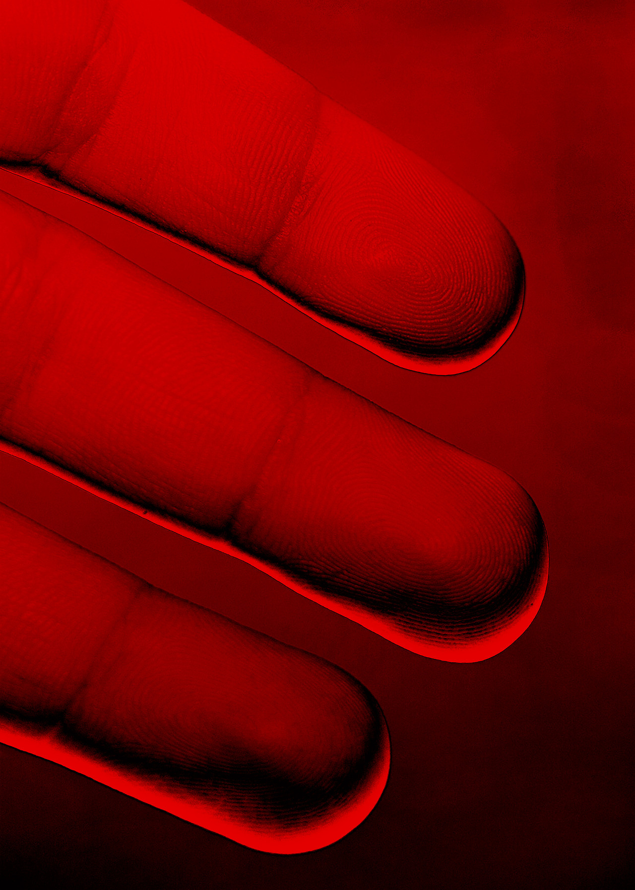 Archillect ID 198843