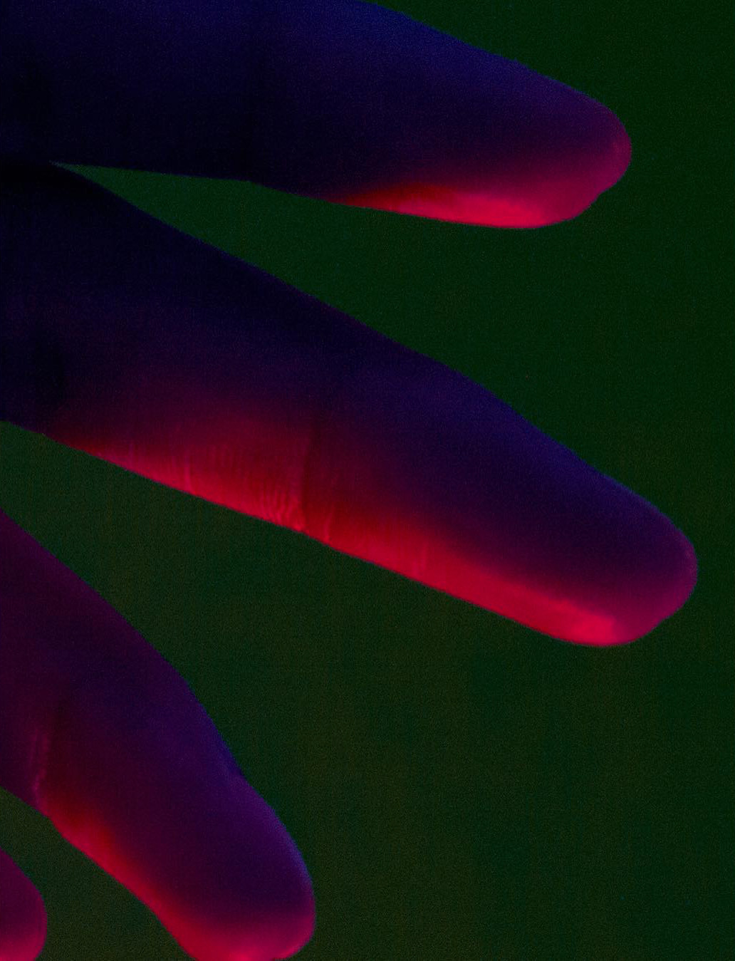 Archillect ID 198905
