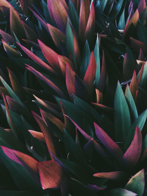 Archillect ID 199081