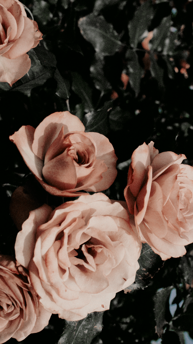 Archillect ID 199139