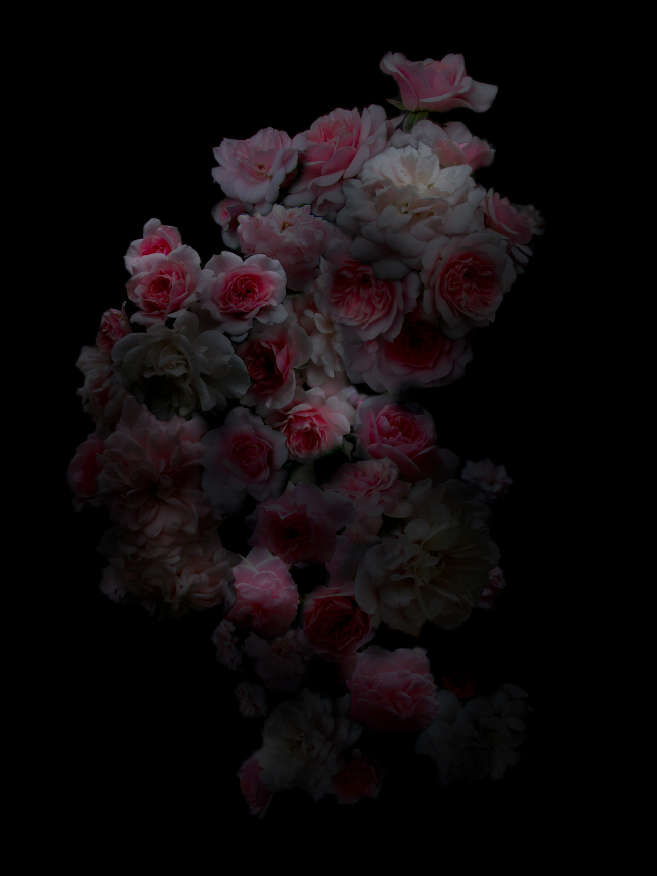 Archillect ID 199378
