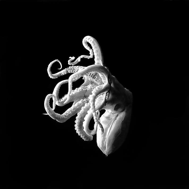 Archillect ID 199385