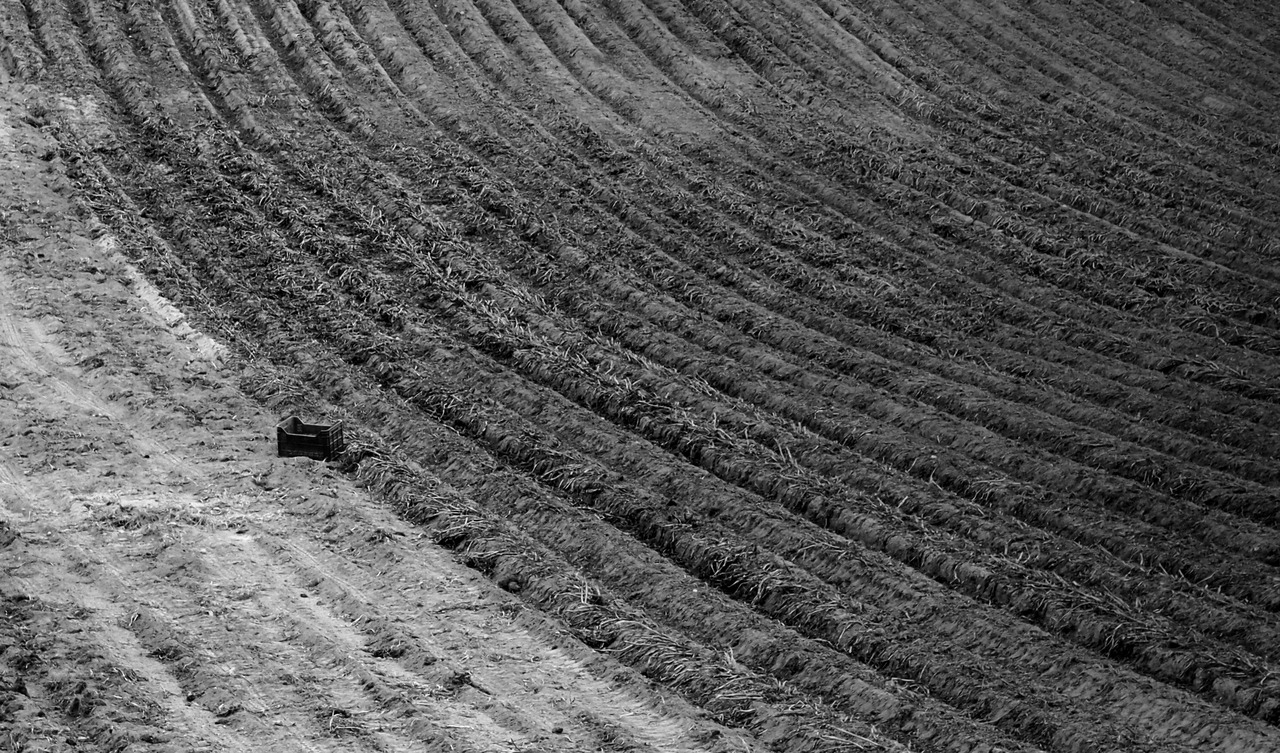 Archillect ID 199535