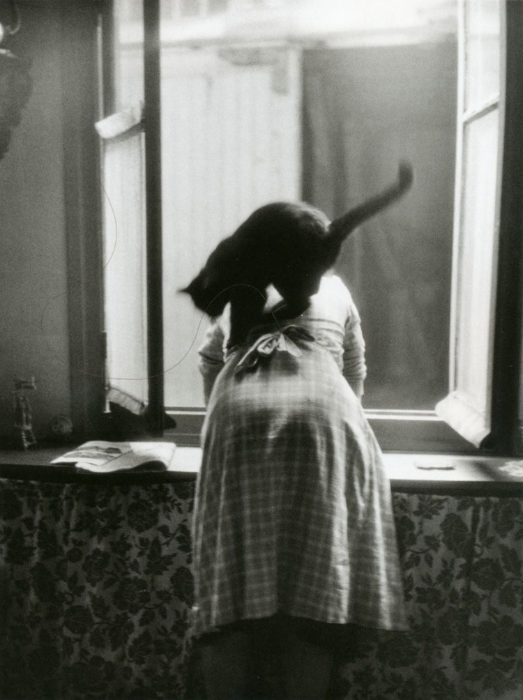 Archillect ID 199541