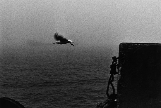 Archillect ID 199542