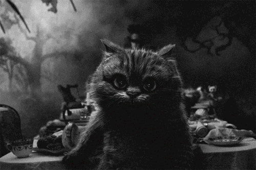 Archillect ID 199558
