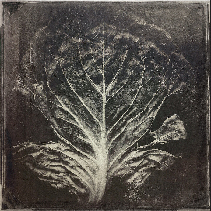 Archillect ID 199799