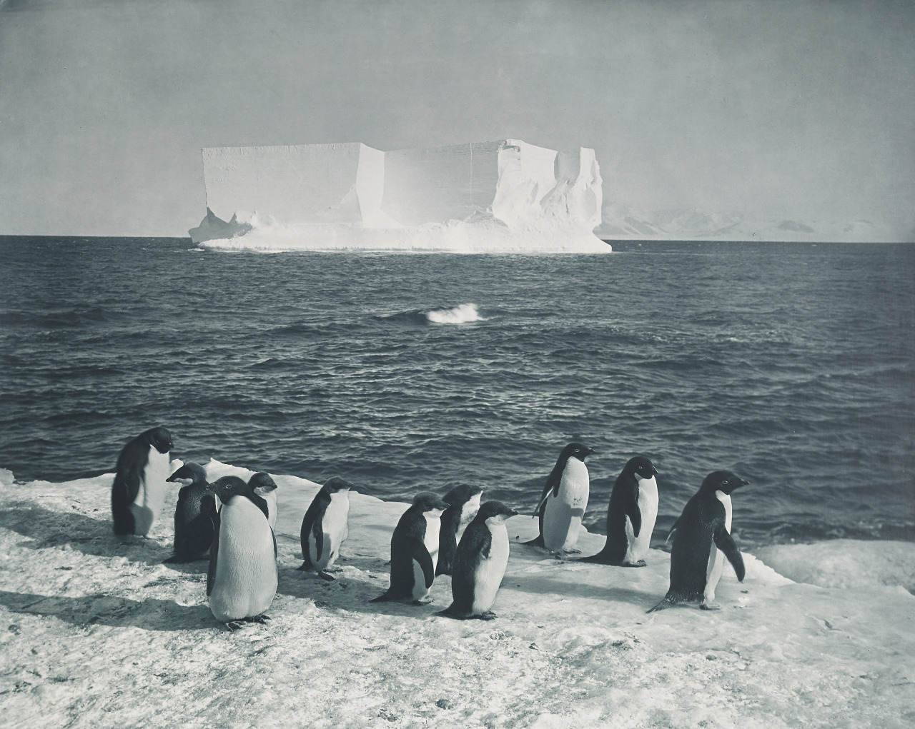 Archillect ID 199949