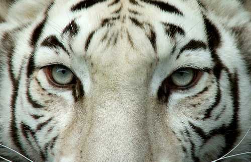 Archillect ID 200332