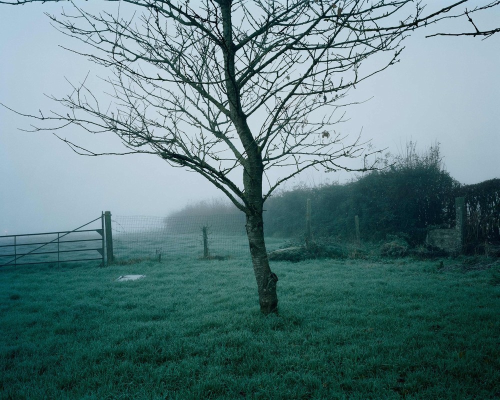 Archillect ID 200411