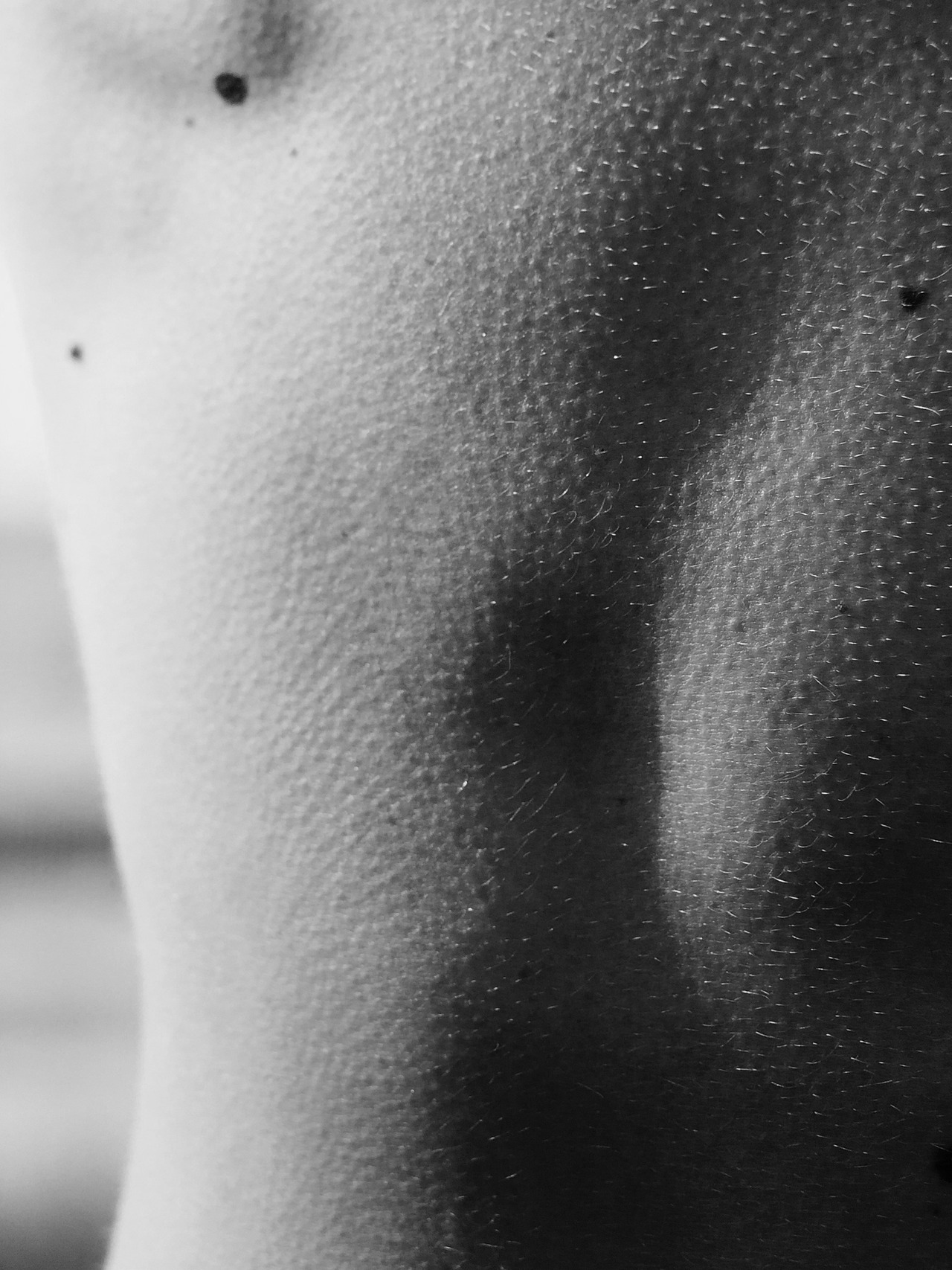 Archillect ID 200498