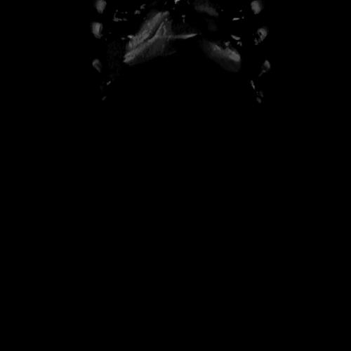 Archillect ID 200821