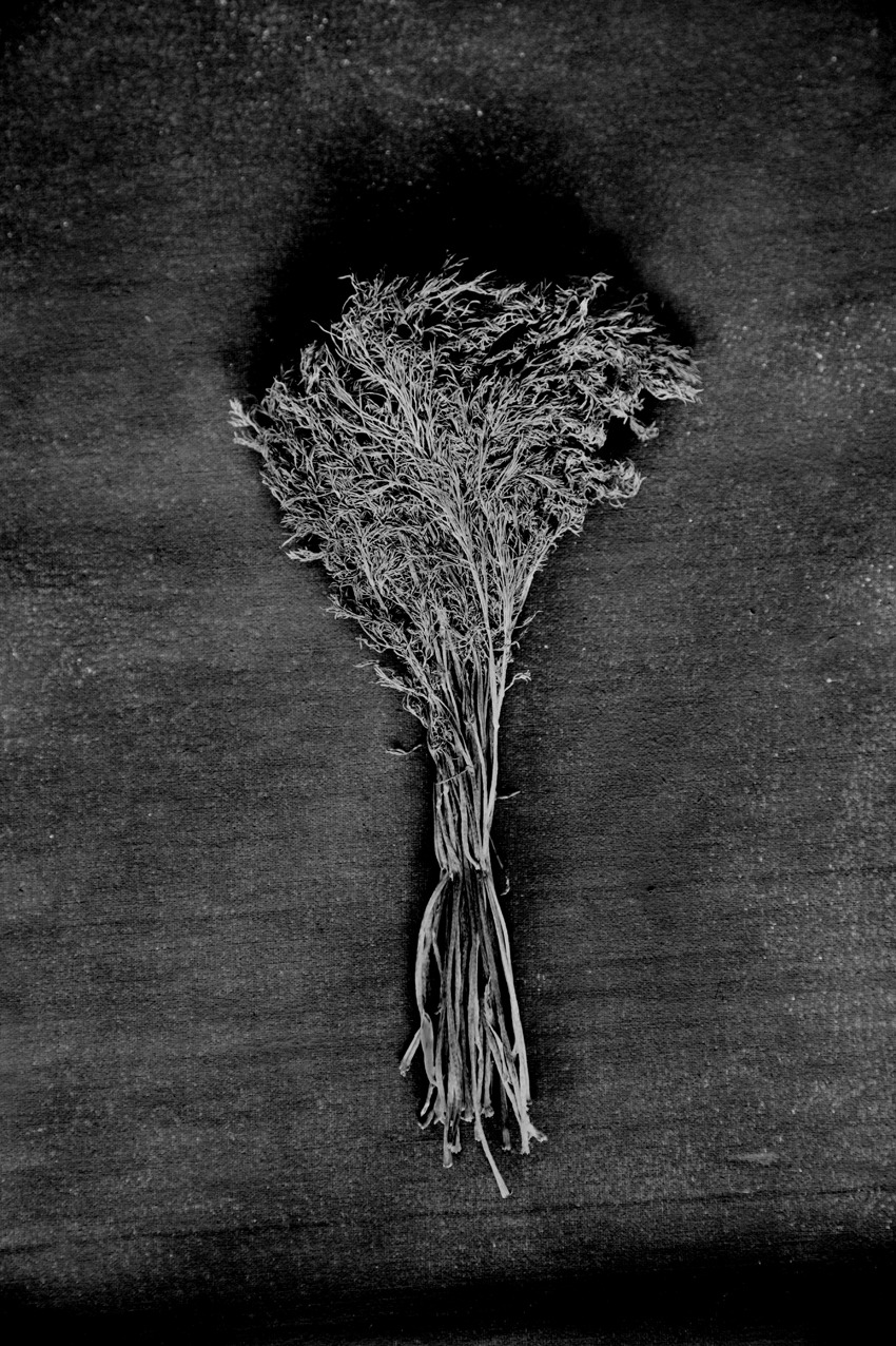 Archillect ID 200964