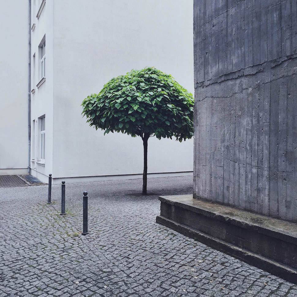 Archillect ID 201155