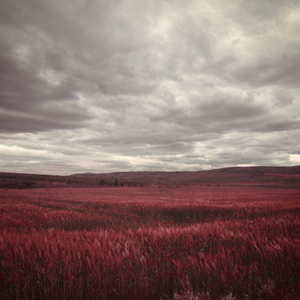Archillect ID 201283
