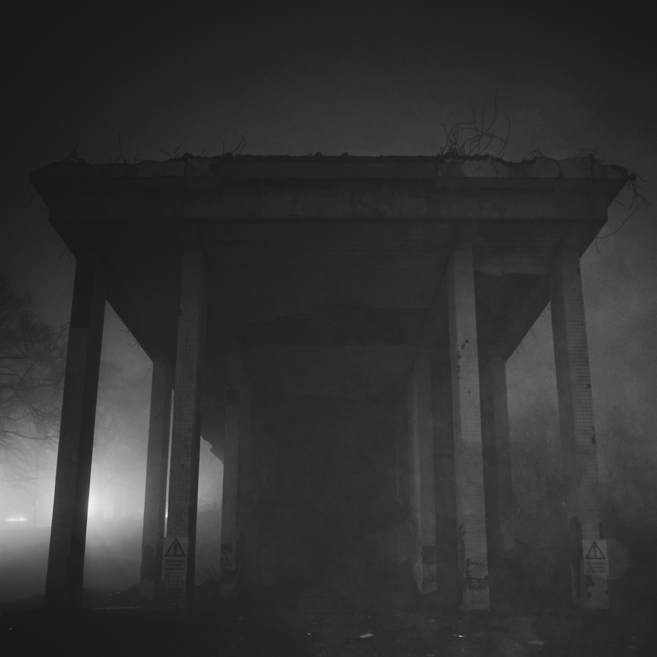 Archillect ID 201538